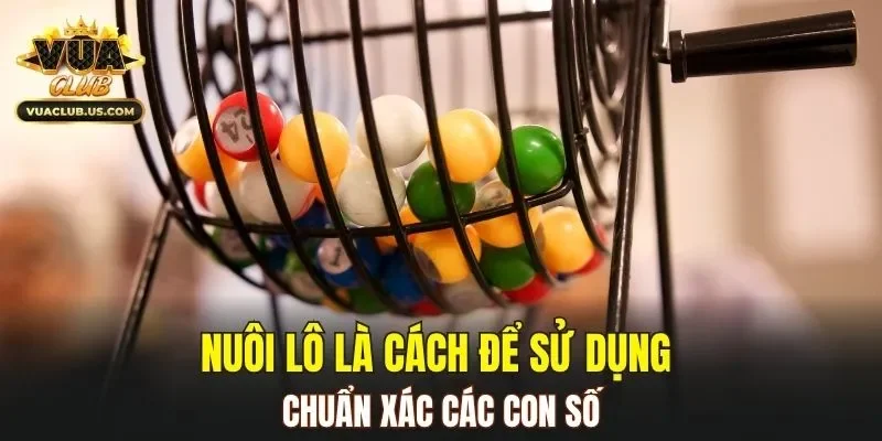 Nuôi lô là cách để sử dụng chuẩn xác các con số